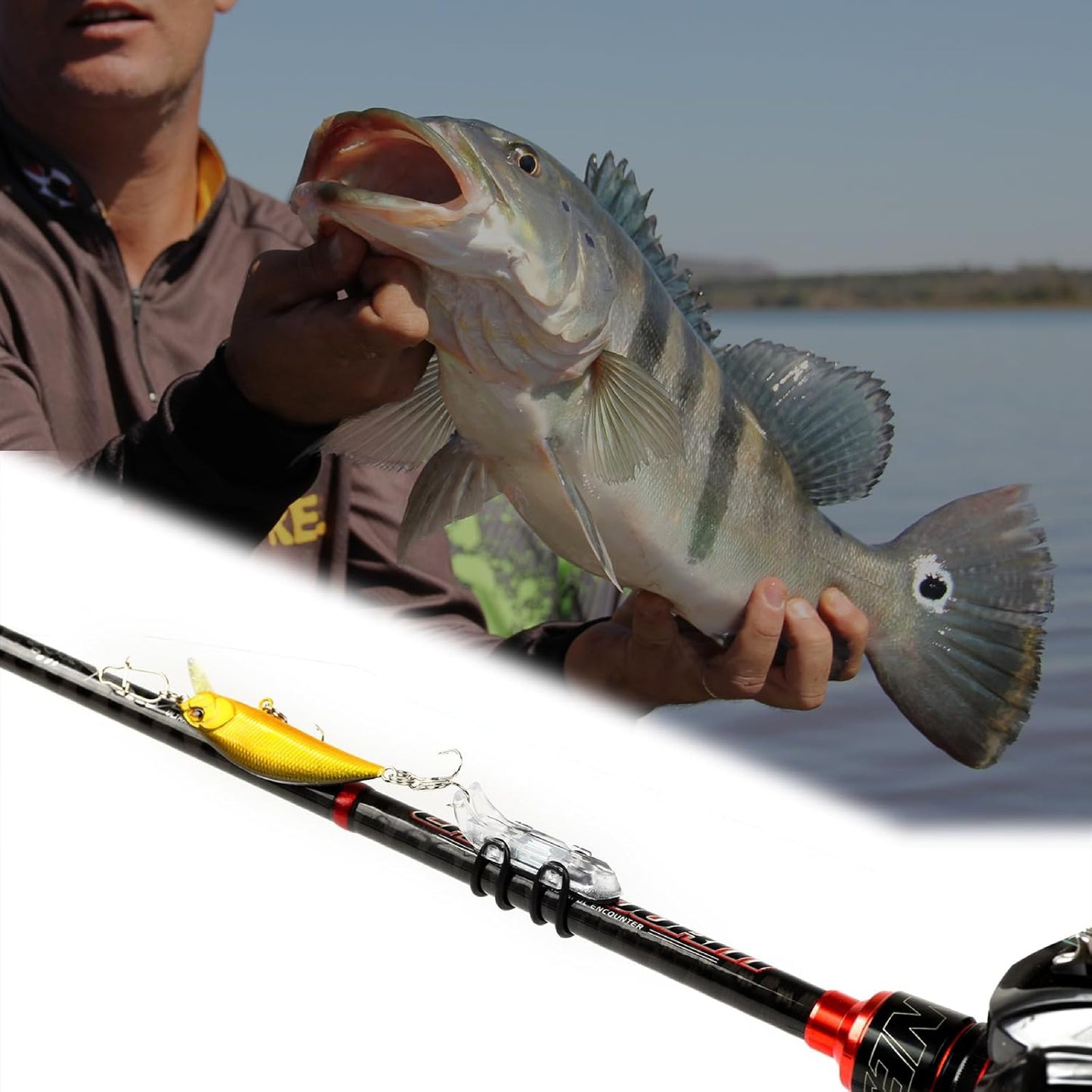 MAGNET LURE HOLDER